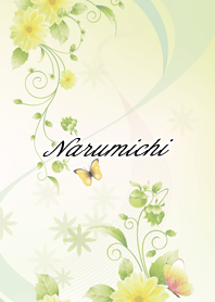 Narumichi Butterflies & flowers