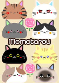 Momotarou Scandinavian cute cat4