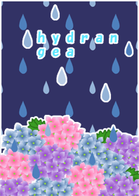 The rainy season(Hydrangea)