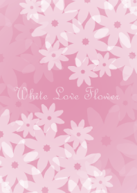 White Love Flower