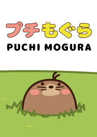 プチもぐら