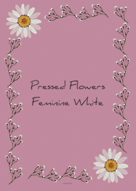Black Pink : Feminine pressed flowers