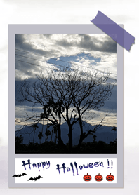 SKY-Halloween ghost tree