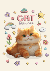 Cat Chubby Cute : British