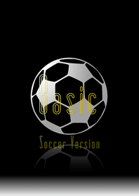 ザ・ベーシック サッカー