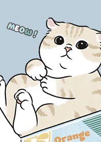 neko single17 - blue