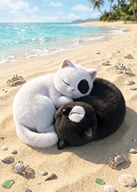 Black cat and white cat : Yin and Yang 3
