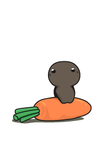 遠くを見て - にんじん