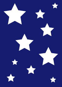 NAVY WHITE STAR
