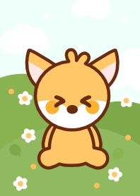 Fennec fox 25 :)