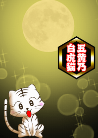 Year of White Tiger Cat [Strongest luck