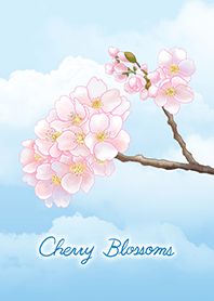 Beautiful Cherry Blossoms 2 / light blue