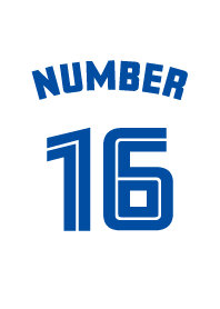 Number 16 White x blue version