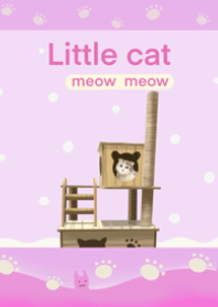 Little cat , meow meow