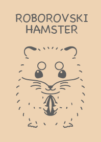 Roborovski hamster simple brown