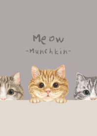 Meow - Munchkin - GRAY