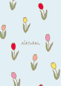 lots of tulips from Japan