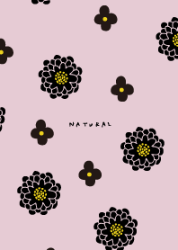 2 types of flowers black24 from Japan