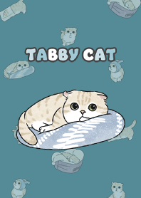 creamtabby3 / neil blue