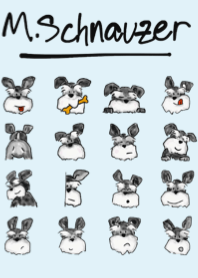 Guun, the Miniature Schnauzers