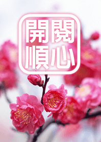 長輩專用大字主題1