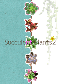 Succulent Plants 2