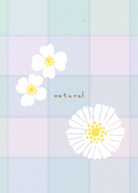 Check Pretty white flowers26 from Japan