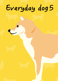 犬の日常5