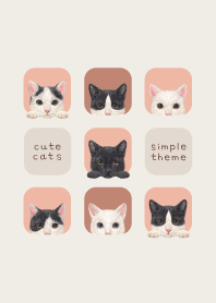 CATS - Mixed breed cat 02 - SALMON PINK