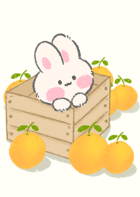 Cute Orange theme!