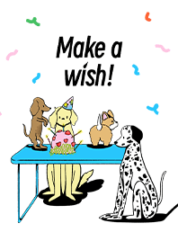 Make a wish!