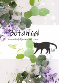 Stylish natural botanicals23.
