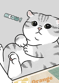 neko single15 / light grey