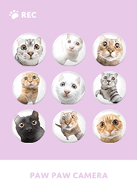 Paw Paw Camera -  Purple 09