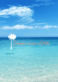 Summer ocean Aloha.93