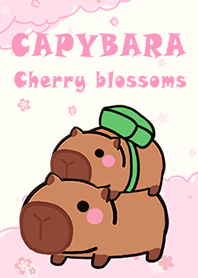 可愛寶貝卡比巴拉/春天來了/櫻花季