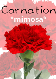 *Flower* Carnation #01