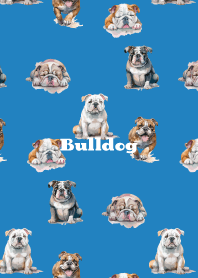 Cute Bulldog on blue