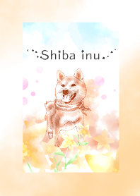 柴犬-オレンジ色の花-