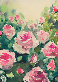 Beautiful rose flower(R4715)