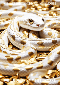 Golden Lucky White Snake 95