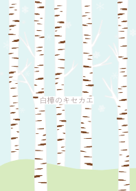 白樺的背景