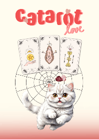 LOVE CAT x TAROT CARD x STONES V.5