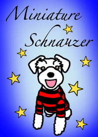 白シュナのフィアちゃん