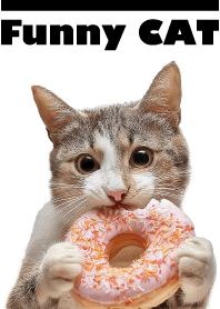 おもしろにゃんこ-ホワイト