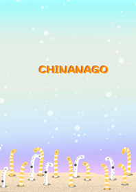＊チンアナゴ＊