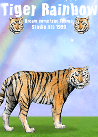 Tiger rainbow