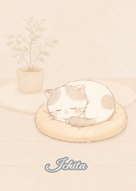Cozy Lazy Cat: Ichita
