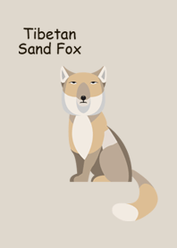 Tibetan Sand Fox -ENG-