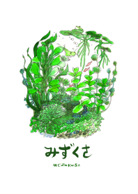 みずくさ